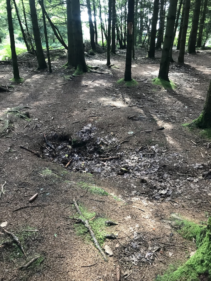 Day 3- 75 year old Foxholes in the forest