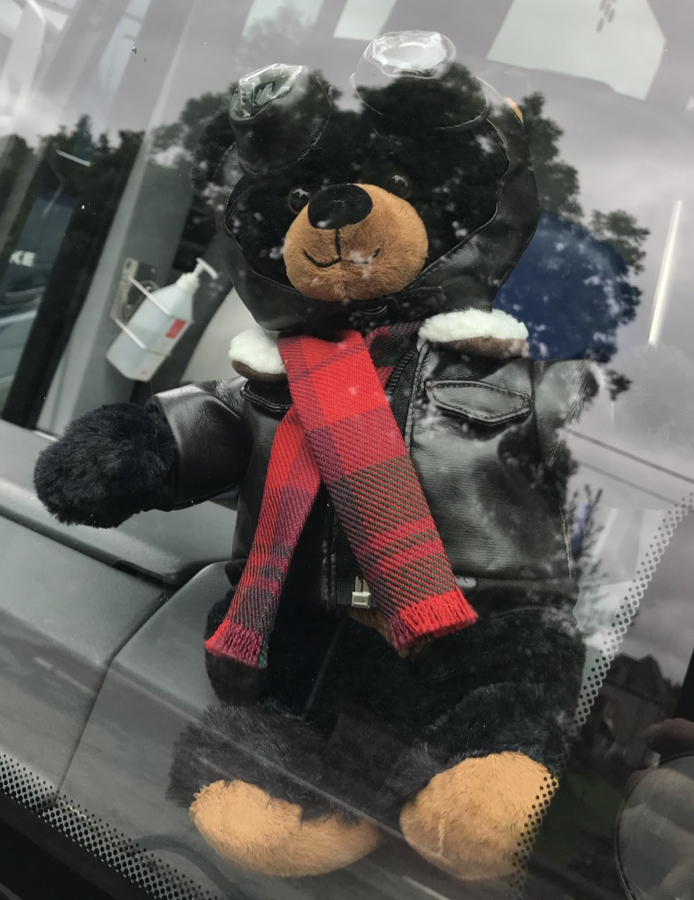 Day 3- Mac the Bear 