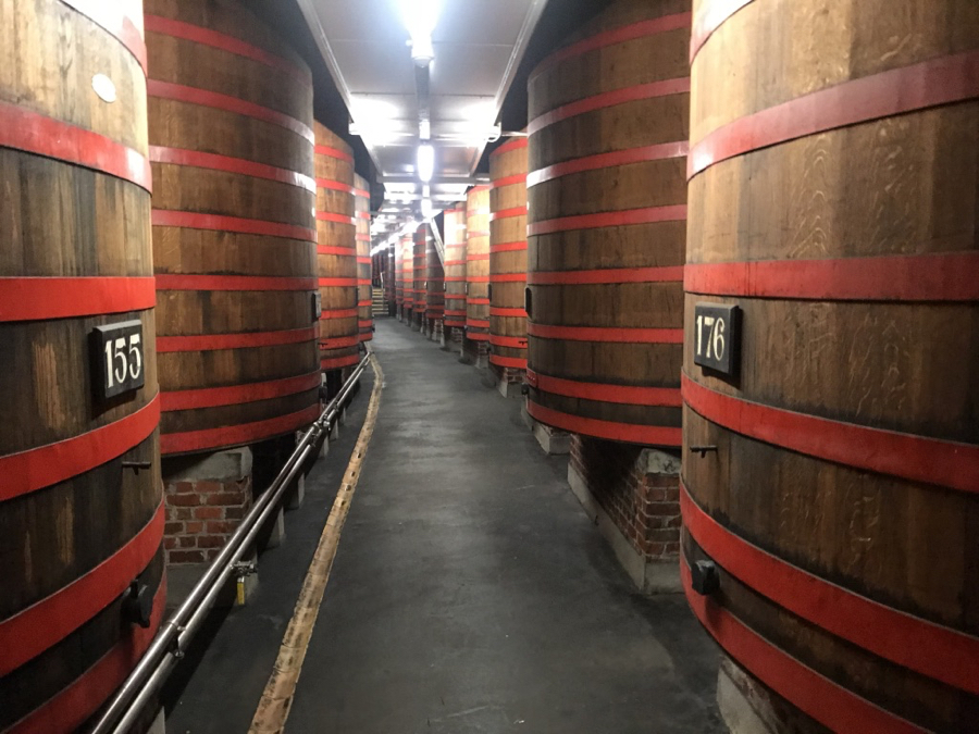 Day 6- Rodenbach