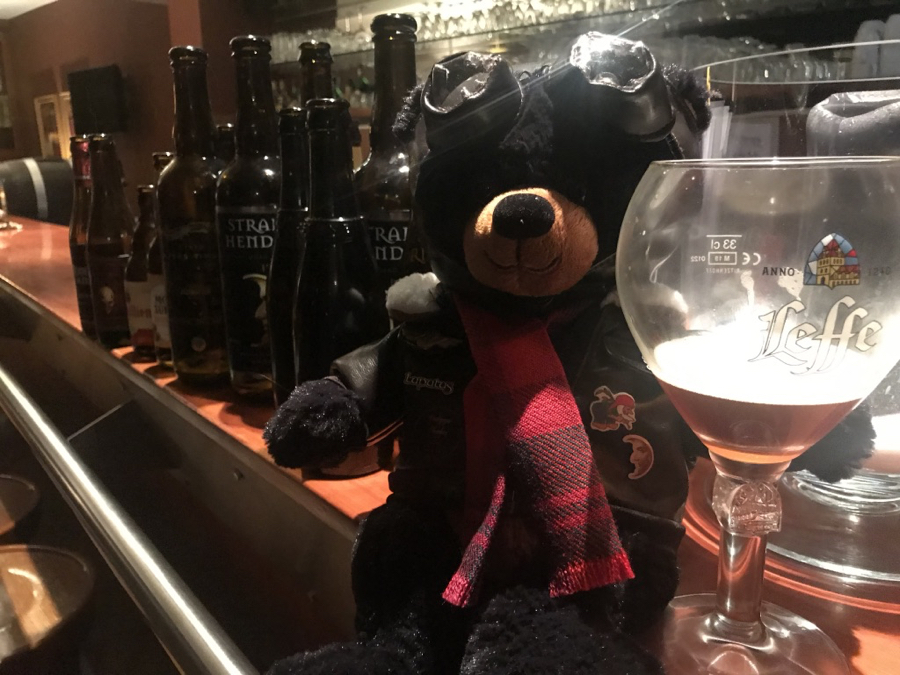 Day 9- After a full day at leisure, Mac The Bear looks back at a wonderful time