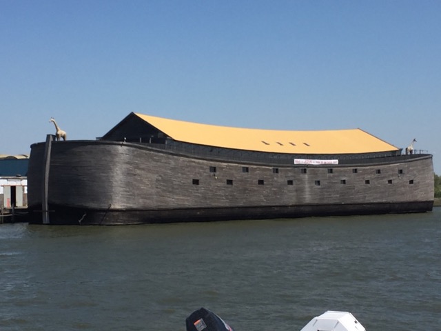 Noah's Arc?