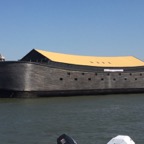 Noah's Arc?