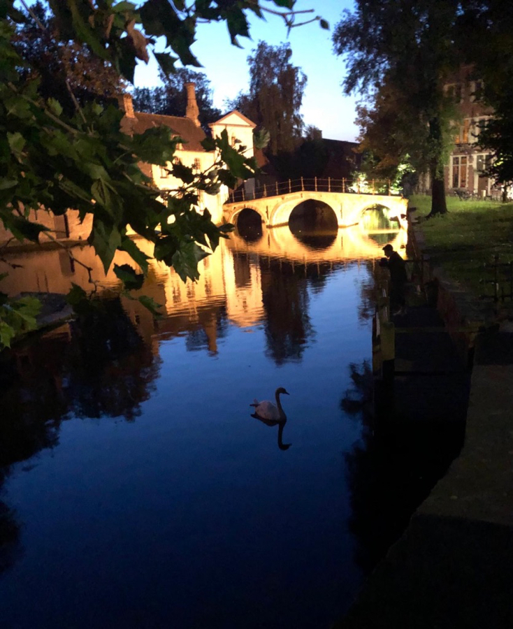 Days 7-9 Bruges